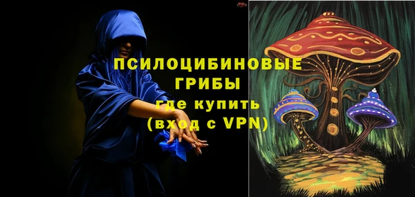ГАЛЛЮЦИНОГЕННЫЕ ГРИБЫ Баксан