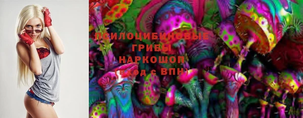 ГАЛЛЮЦИНОГЕННЫЕ ГРИБЫ Баксан