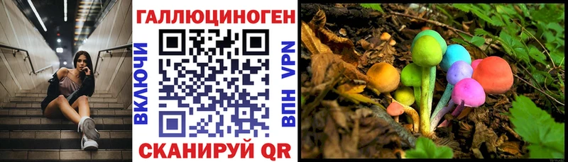 Псилоцибиновые грибы прущие грибы  Судак 